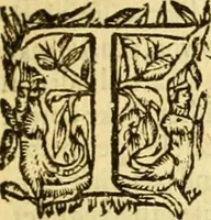 An illustration from The institution of Christian religion (1582)