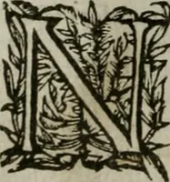 An illustration from The institution of Christian religion (1587)