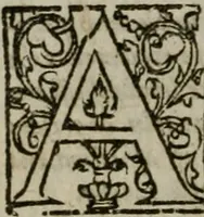 Picture 4 of 7 from The institution of Christian religion (1587), leaf 23