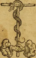 An illustration from The institution of christian religion (1561)