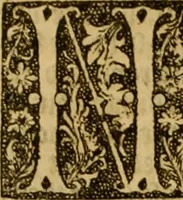 Picture 28 of 28 from The institution of christian religion (1561), leaf 1006