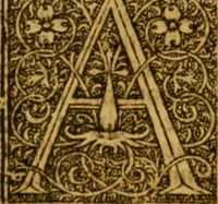 Picture 13 of 28 from The institution of christian religion (1561), leaf 107