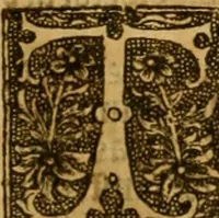 An illustration from The institution of christian religion (1561)