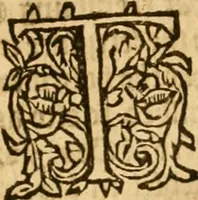 An illustration from The Institution of Christian religion (1574)