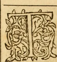 An illustration from The Institution of Christian religion (1574)