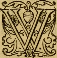 An illustration from The institution of christian religion (1578)
