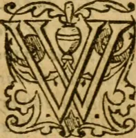 An illustration from The institution of christian religion (1578)