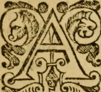 An illustration from The institution of christian religion (1578)