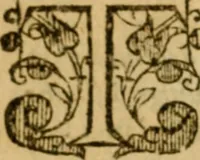 An illustration from The institution of christian religion (1578)