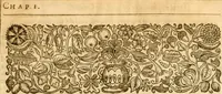 Picture 10 of 23 from The institution of christian religion (1634), leaf 24