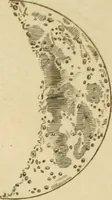 An illustration from Institutions astronomiques, ou Leçons élémentaires d'astronomie : pour servir d'introduction à la physique céleste, & à la science des longitudes, avec de nouvelles tables d'équation corrigées; et particulierement les tables du soleil, de la lune & des satellites: précédées d'un essai sur l'histoire de l'astronomie moderne (1746)