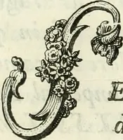 An illustration from Instituzione pratica dell' architettura civile per la decorazione de' pubblici, e privati edifici : preceduta da un articolo di geometria in pratica ad uso delli disegnatori ed artifici (1766)