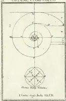 Picture 52 of 175 from Instituzione pratica dell' architettura civile per la decorazione de' pubblici, e privati edifici : preceduta da un articolo di geometria in pratica ad uso delli disegnatori ed artifici (1766), leaf 102