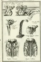 An illustration from Instituzione pratica dell' architettura civile per la decorazione de' pubblici, e privati edifici : preceduta da un articolo di geometria in pratica ad uso delli disegnatori ed artifici (1766)