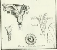 An illustration from Instituzione pratica dell' architettura civile per la decorazione de' pubblici, e privati edifici : preceduta da un articolo di geometria in pratica ad uso delli disegnatori ed artifici (1766)
