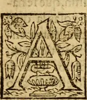 Picture 14 of 55 from Institvción de la religión cristiana (1597), leaf 114