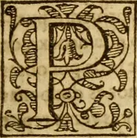 Picture 21 of 55 from Institvción de la religión cristiana (1597), leaf 220