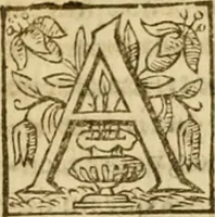 Picture 4 of 55 from Institvción de la religión cristiana (1597), leaf 25