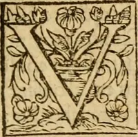 Picture 26 of 55 from Institvción de la religión cristiana (1597), leaf 372