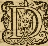 Picture 35 of 55 from Institvción de la religión cristiana (1597), leaf 600