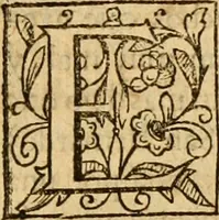 Picture 36 of 55 from Institvción de la religión cristiana (1597), leaf 652