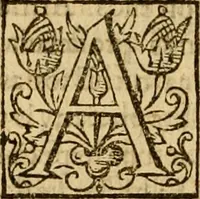 Picture 40 of 55 from Institvción de la religión cristiana (1597), leaf 747
