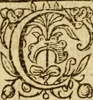 An illustration from Institvción de la religión cristiana (1597)
