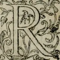 Picture 10 of 29 from Institvtio christianæ religionis (1618), leaf 365