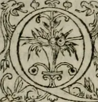 Picture 18 of 29 from Institvtio christianæ religionis (1618), leaf 771