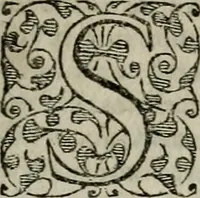 Picture 22 of 29 from Institvtio christianæ religionis (1618), leaf 870