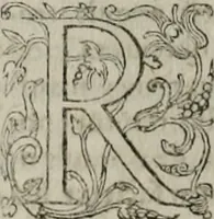 Picture 23 of 29 from Institvtio christianæ religionis (1618), leaf 893