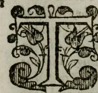 An illustration from The institvtion of Christian religion (1578)