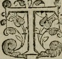 An illustration from The institvtion of Christian religion (1578)