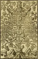 An illustration from Institvtionvm imperialivm analyseis, seu, Resolvtiones novae, propter tyrones iuris ciuilis scientiae schematismois delineatae (1575)