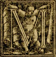 An illustration from Institvtionvm imperialivm analyseis, seu, Resolvtiones novae, propter tyrones iuris ciuilis scientiae schematismois delineatae (1575)
