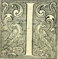 Picture 9 of 34 from Instruciones del Santo Oficio de la Inquisicion, sumariamente, antignas y nueuas (1627), leaf 19
