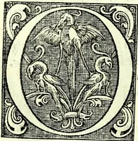 Picture 13 of 34 from Instruciones del Santo Oficio de la Inquisicion, sumariamente, antignas y nueuas (1627), leaf 23
