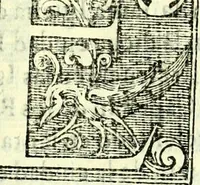 Picture 22 of 34 from Instruciones del Santo Oficio de la Inquisicion, sumariamente, antignas y nueuas (1627), leaf 40