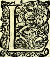 Picture 23 of 34 from Instruciones del Santo Oficio de la Inquisicion, sumariamente, antignas y nueuas (1627), leaf 42