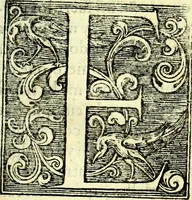 Picture 24 of 34 from Instruciones del Santo Oficio de la Inquisicion, sumariamente, antignas y nueuas (1627), leaf 64