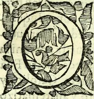 Picture 27 of 34 from Instruciones del Santo Oficio de la Inquisicion, sumariamente, antignas y nueuas (1627), leaf 67
