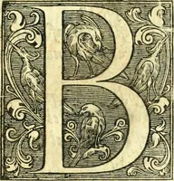 Picture 3 of 34 from Instruciones del Santo Oficio de la Inquisicion, sumariamente, antignas y nueuas (1627), leaf 8