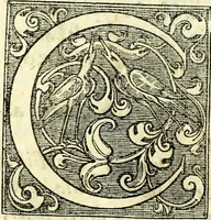 An illustration from Instruciones del Santo Oficio de la Inquisicion, sumariamente, antignas y nueuas (1627)