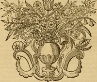 Picture 5 of 8 from Instructiones historico-theologicæ : De doctrina Christiana & vario rerum statu, ortisque erroribus & controversis, jam inde à temporibus Apostolicis, ad tempora usque seculi decimi-septimi priora (1645), leaf 219