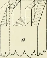 An illustration from Manual instruction: drawing (1896)