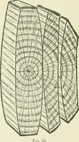 An illustration from Manual instruction: drawing (1896)
