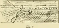 An illustration from Instruction book ... to be used only as a guide and partial study in the expert course in dressmaking (1915)