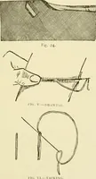 An illustration from Instruction book ... to be used only as a guide and partial study in the expert course in dressmaking (1915)