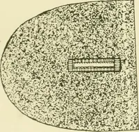 An illustration from Instruction book ... to be used only as a guide and partial study in the expert course in dressmaking (1915)