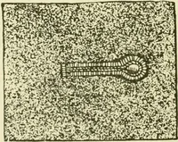 Picture 14 of 15 from Instruction book ... to be used only as a guide and partial study in the expert course in dressmaking (1915), leaf 31